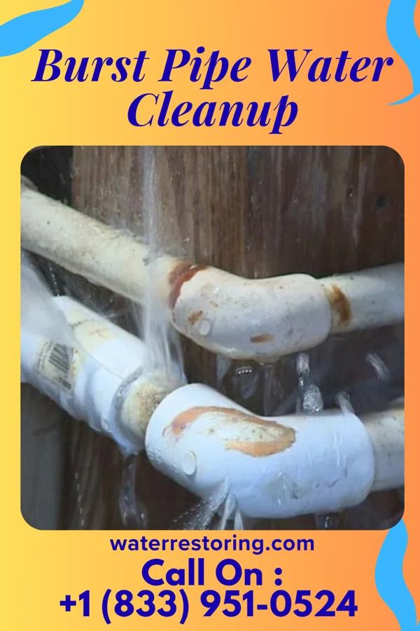 Burst Pipe Water Cleanup in Cundiyo, NM